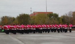 新湖总场爆料最新消息今天